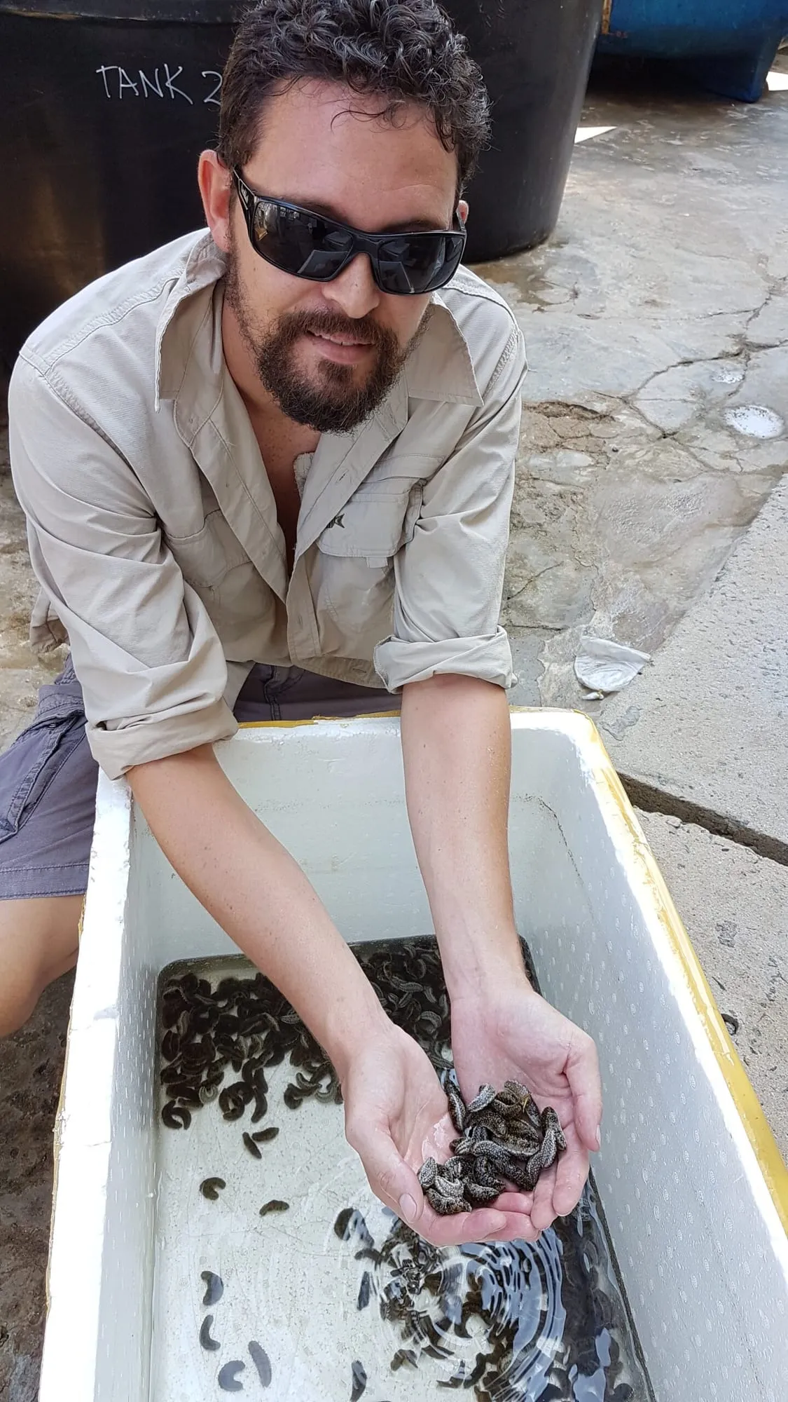 Recirculating aquaculture system tanks and filtration during commissioning